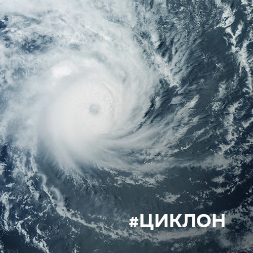 Главная