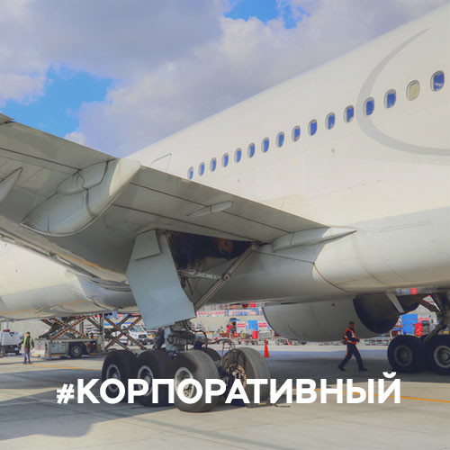 Главная